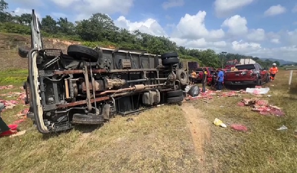 1902 KT LORI TELUR AYAM