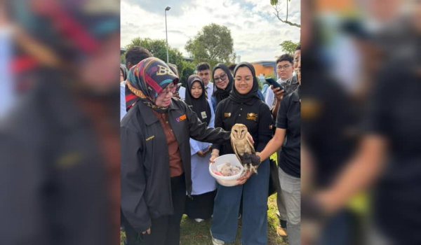 0612 PP SAINTIS MUDA B40 2