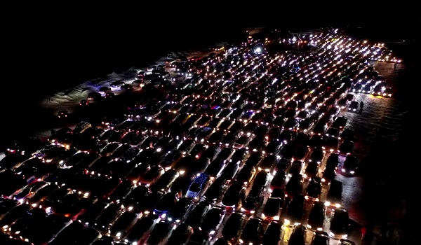 2512 BD KERETA POKOK KRIMAS 2