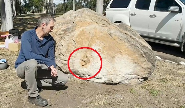 1203 BD JEJAK KAKI DINOSAUR